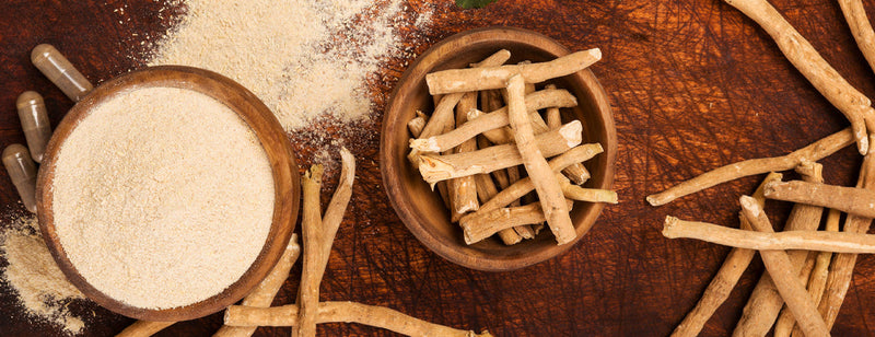 wooden bowl of ashwagandha herb and powder