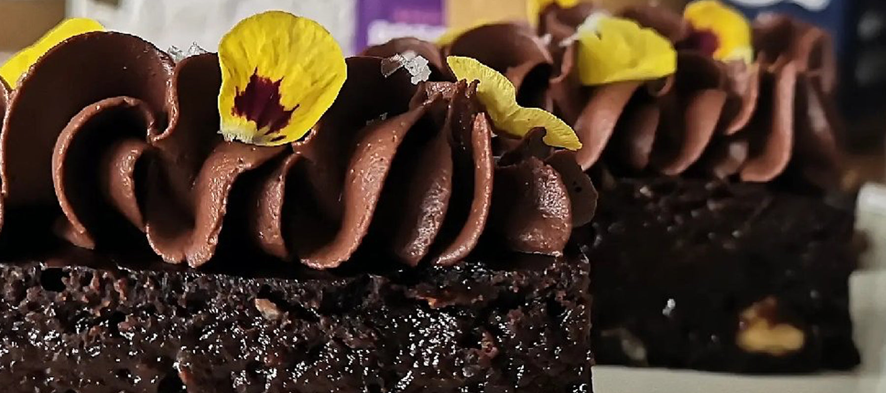 Vegan Brownies with Chocolate Ganache | Evergreen
