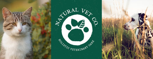 Evergreen: Behind The Label The Natural Vet Co.
