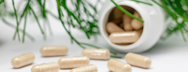 natural, clean capsule bottle and capsules with greenery 