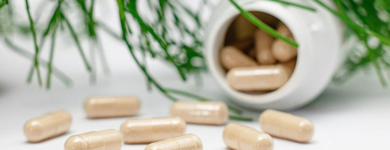 natural, clean capsule bottle and capsules with greenery