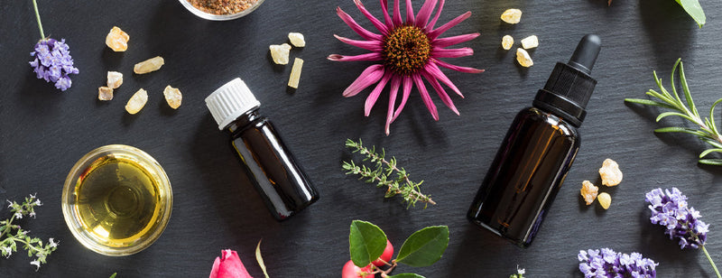 Surviving the Cold and Flu Season with A. Vogel