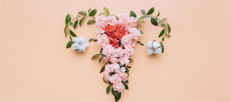 woman's reproductive system illustrated with flowers on a peach background