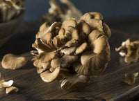 Maitake
