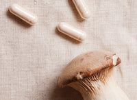 Mushrooms for Mental Wellbeing