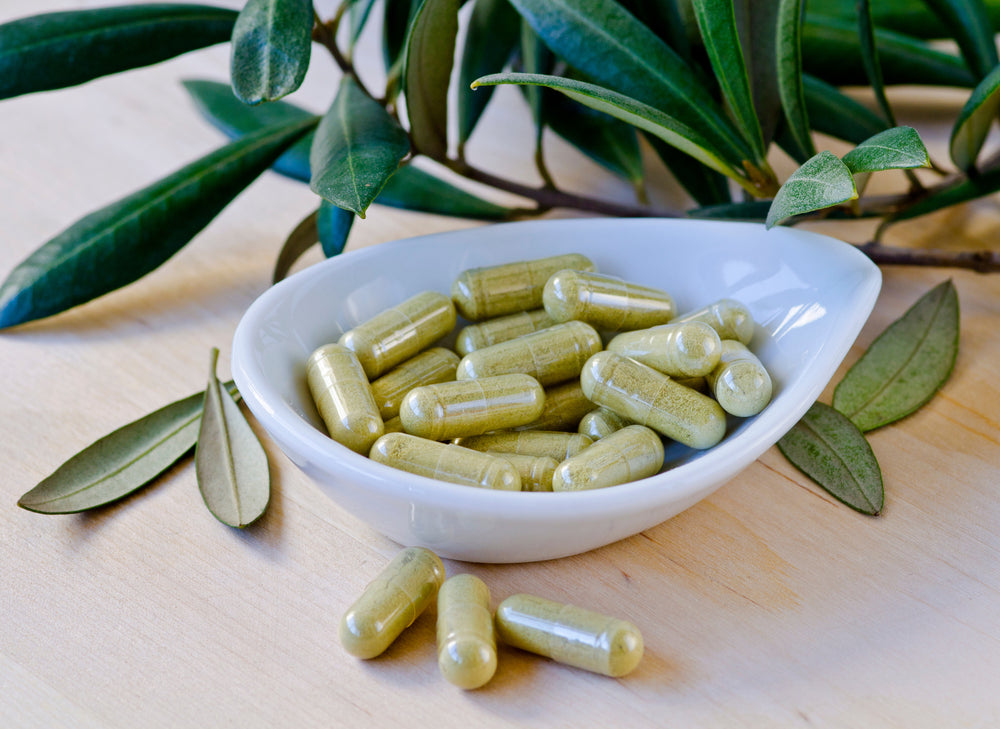Olive Leaf