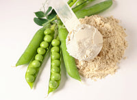 Plant Protein