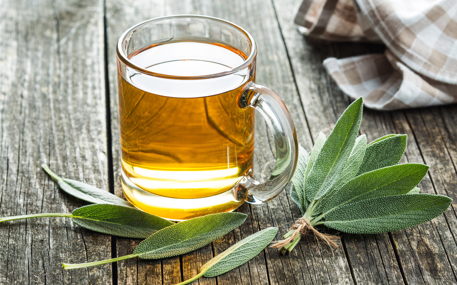 Sage Leaf Tea | Sage Tea | Evergreen Healthfoods