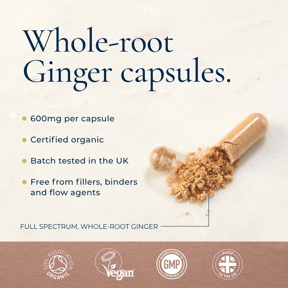 Promotional graphic for whole-root ginger capsules, showing a translucent capsule filled with light brown ginger powder spilling out on a cream background