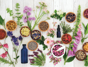 Selection of colourful flowers and petals with pestle and mortar