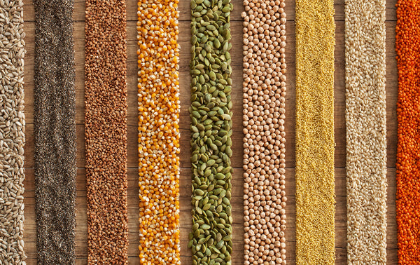 lines of colourful wholefoods