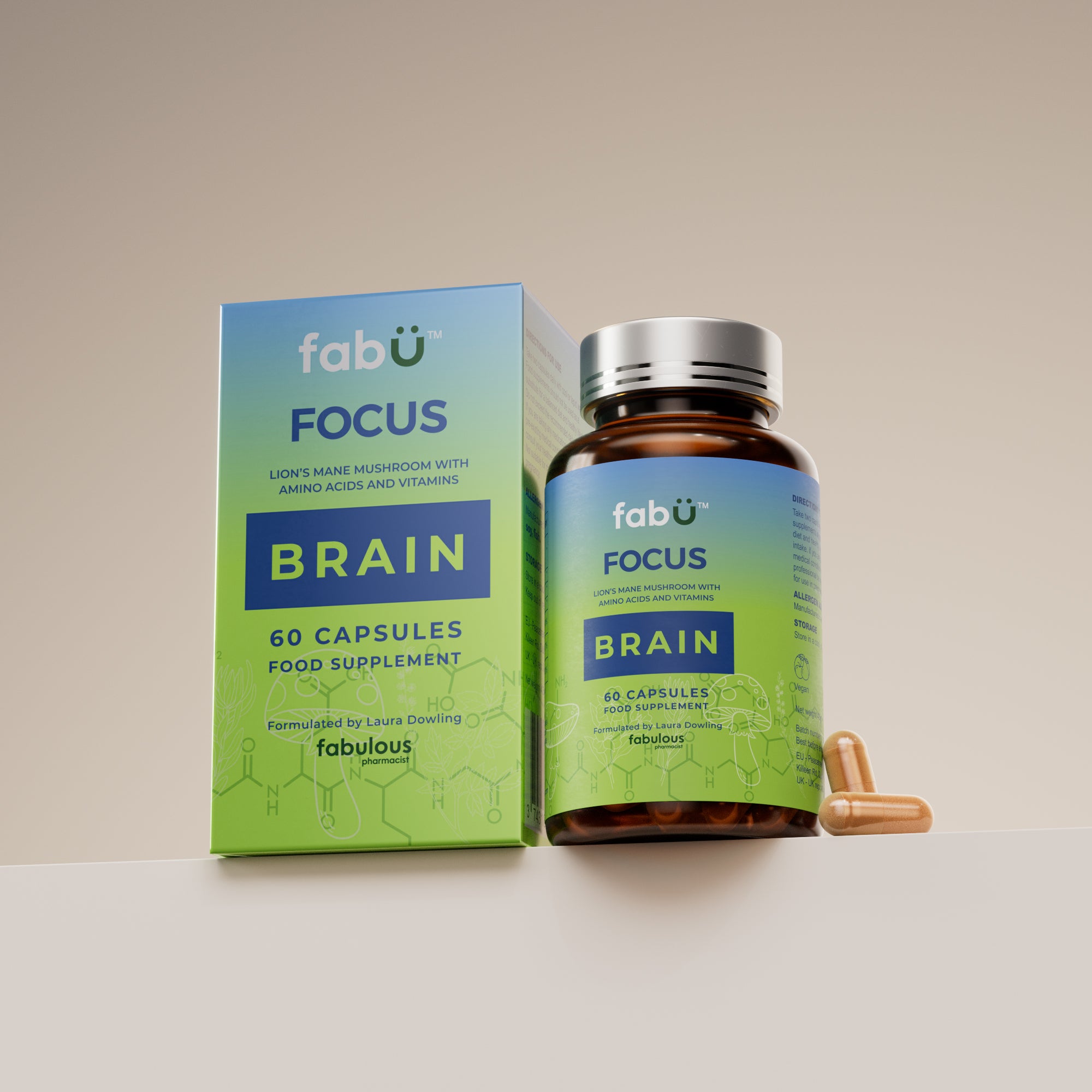 FabÜ Focus Brain