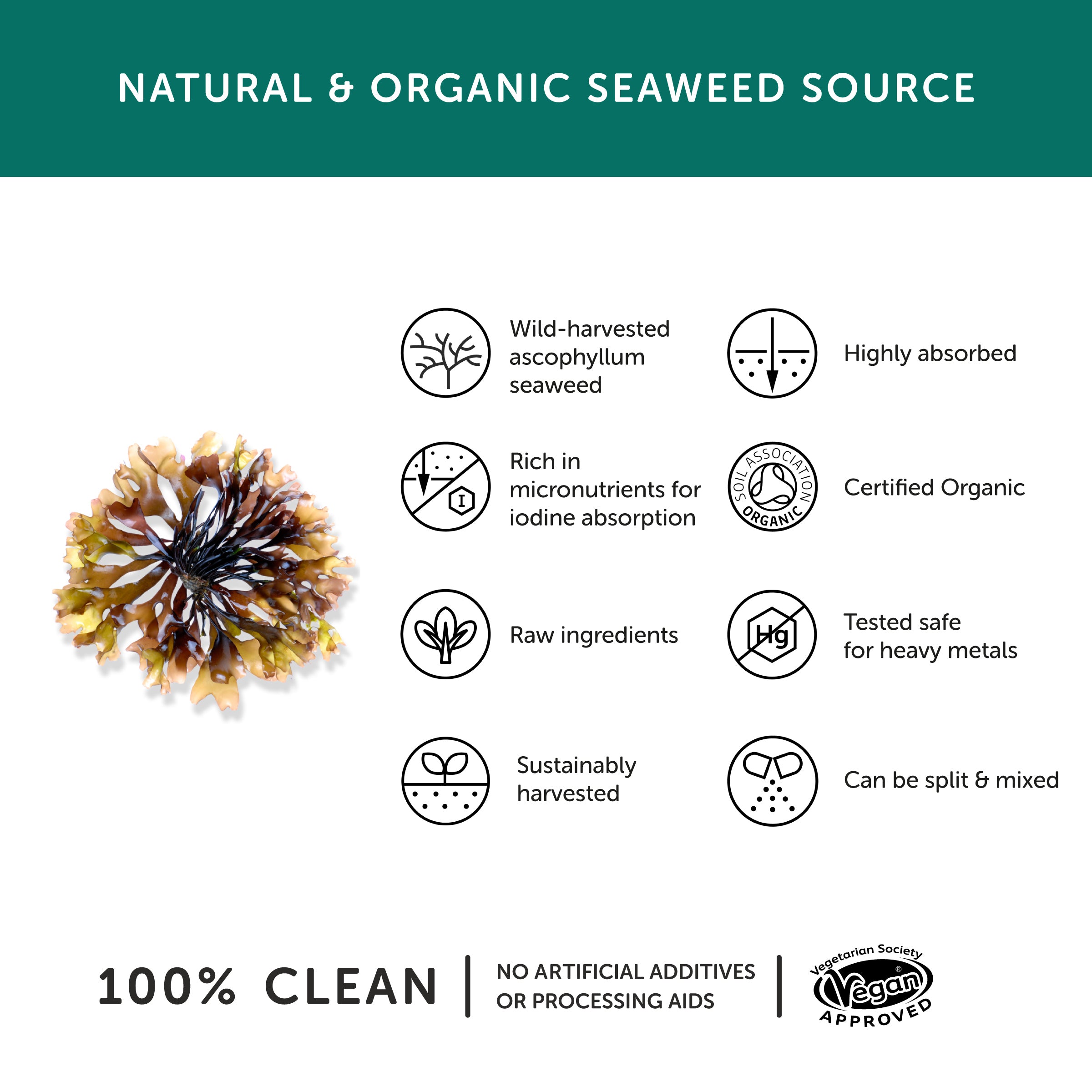 Together Health Organic Iodine