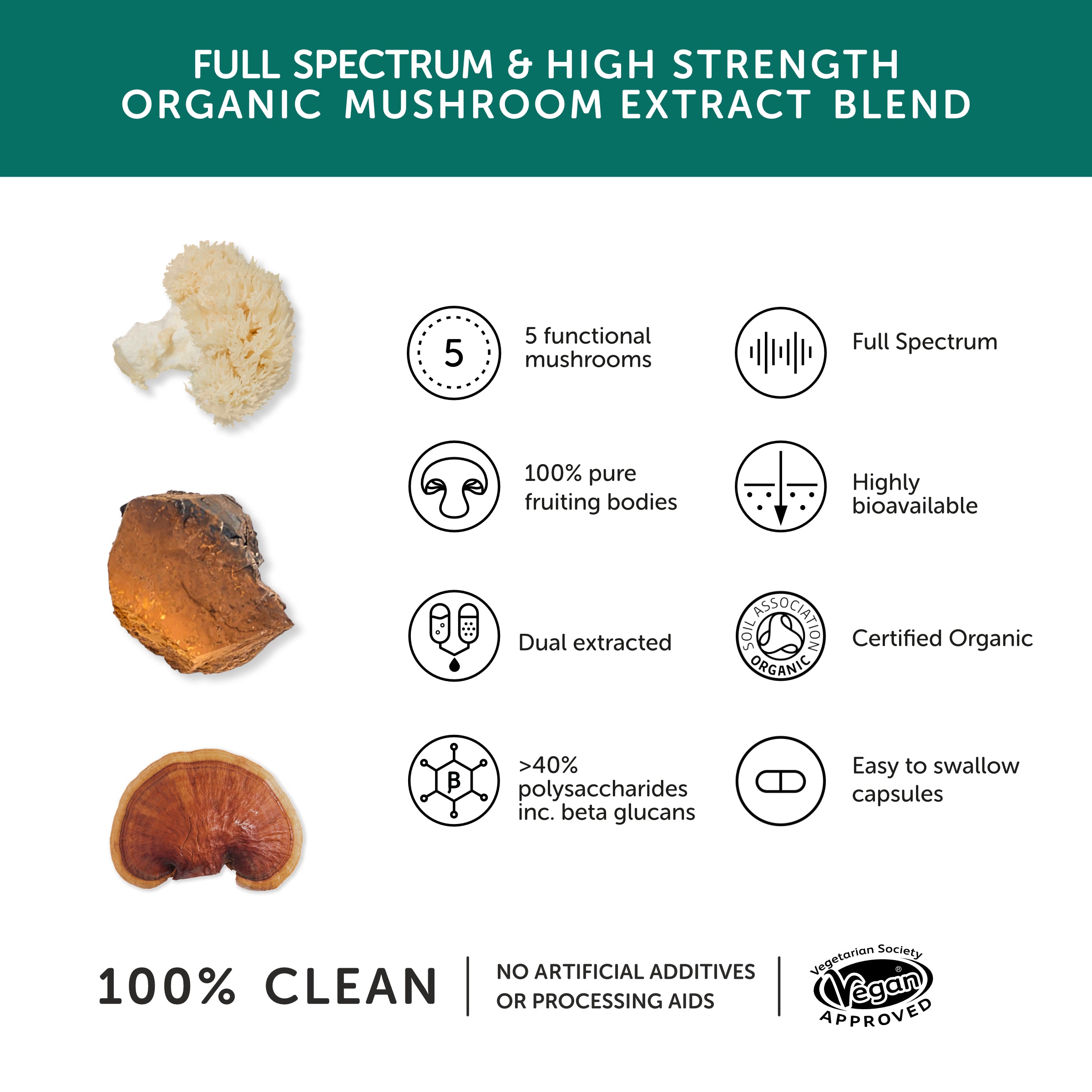 Mushroom 5 Benefits