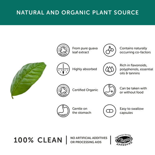 Bio-Zinc Benefits
