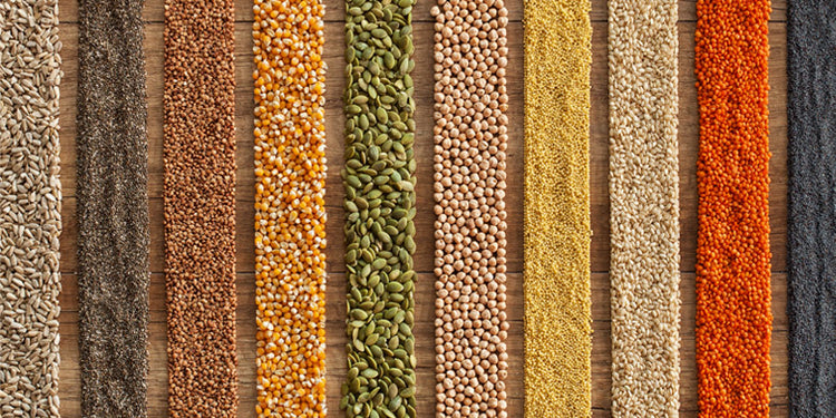 Selection of colourful grains and pulses in straight rows