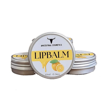 Ancestral Cosmetics Tallow & Honey Lipbalm Orange