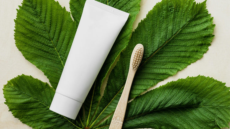 Wooden toothbrush and toothpaste tube on green leaf