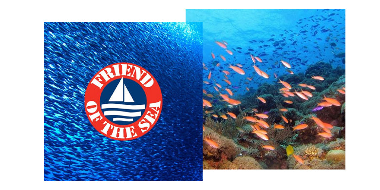 Two images: one with a blue underwater scene and 'Friend of the Sea' logo, the other with a coral reef and fish.