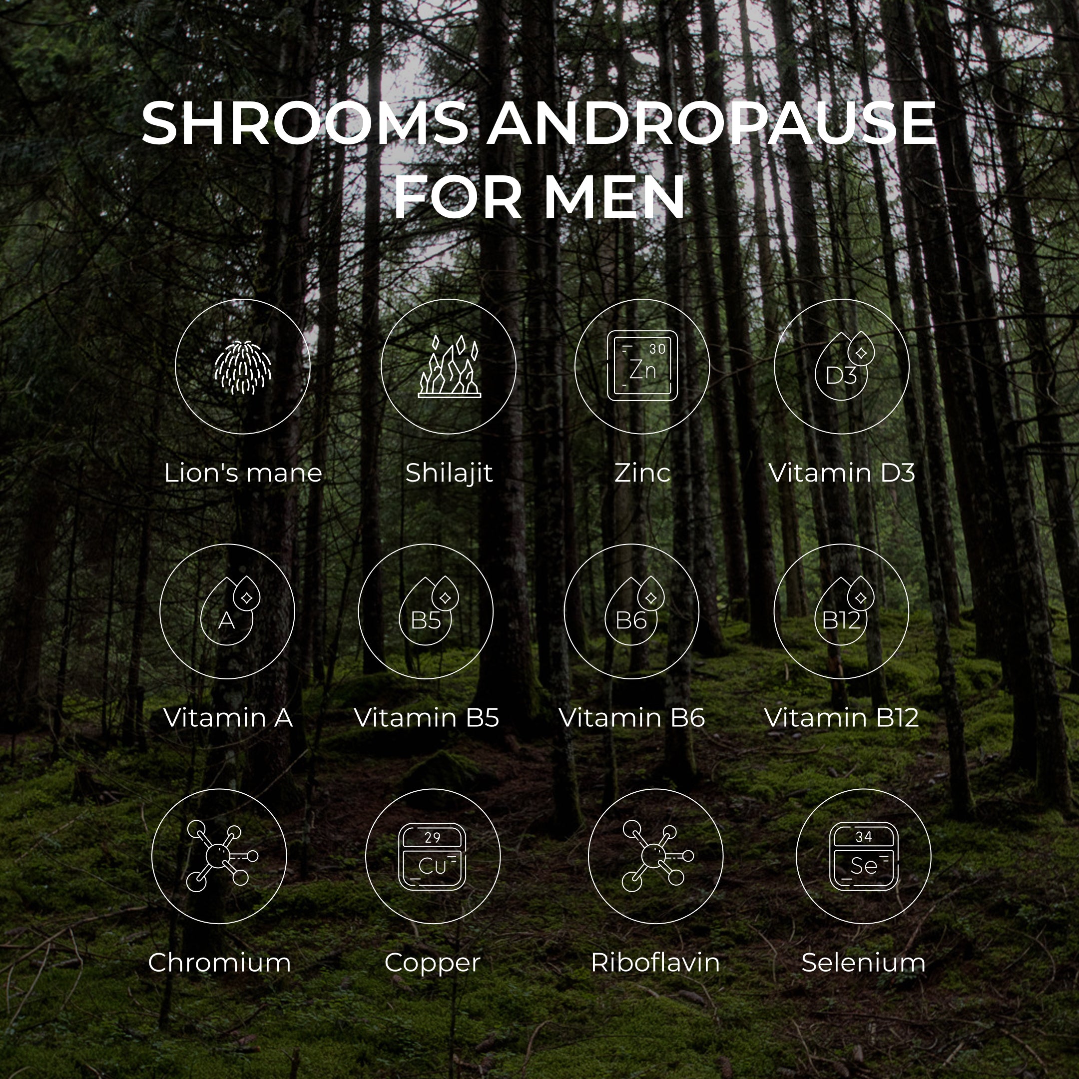 FabÜ Shrooms Andropause For Men