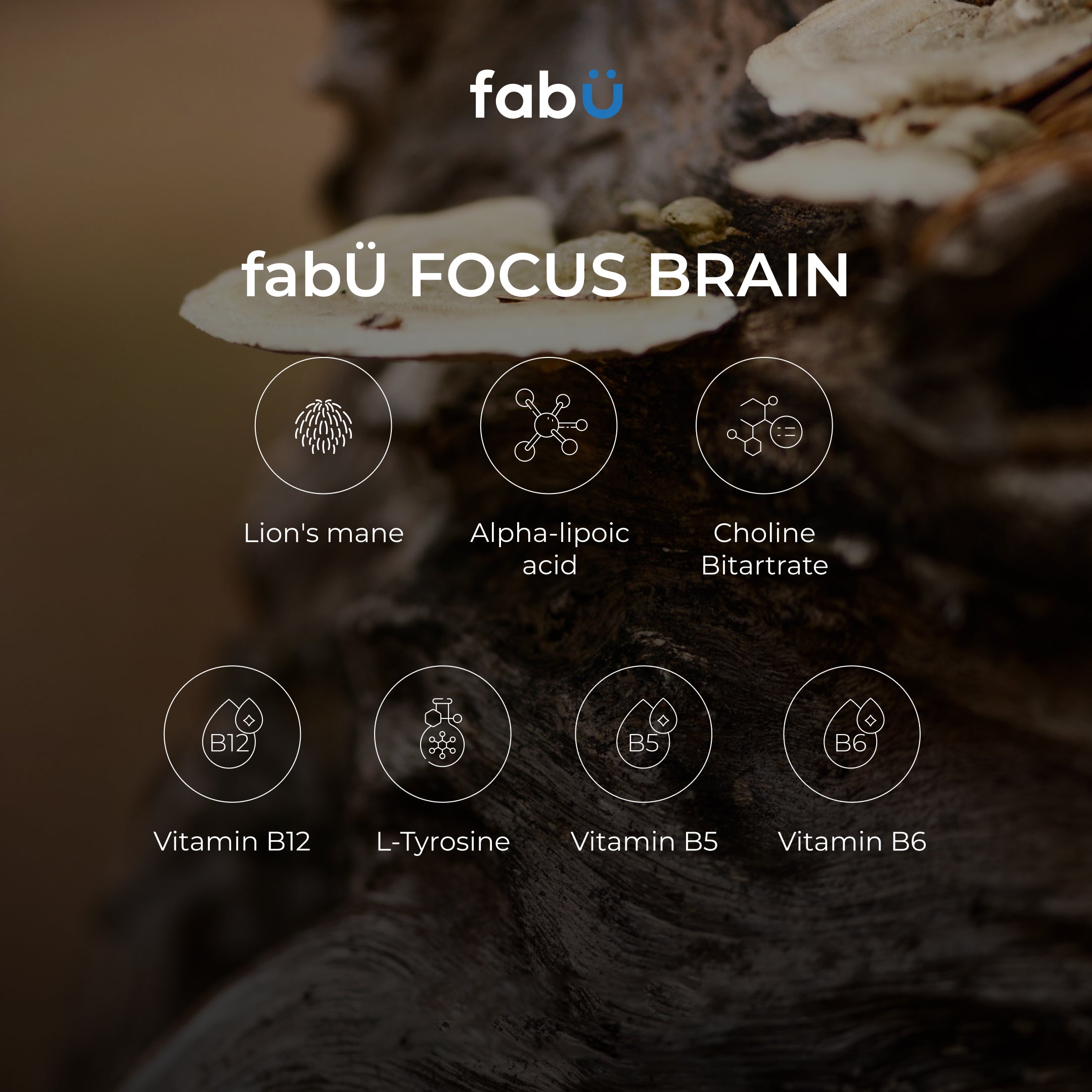 FabÜ Focus Brain - Evergreen Healthfoods