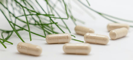 Wooden capsules on a light surface with green leaves in the background