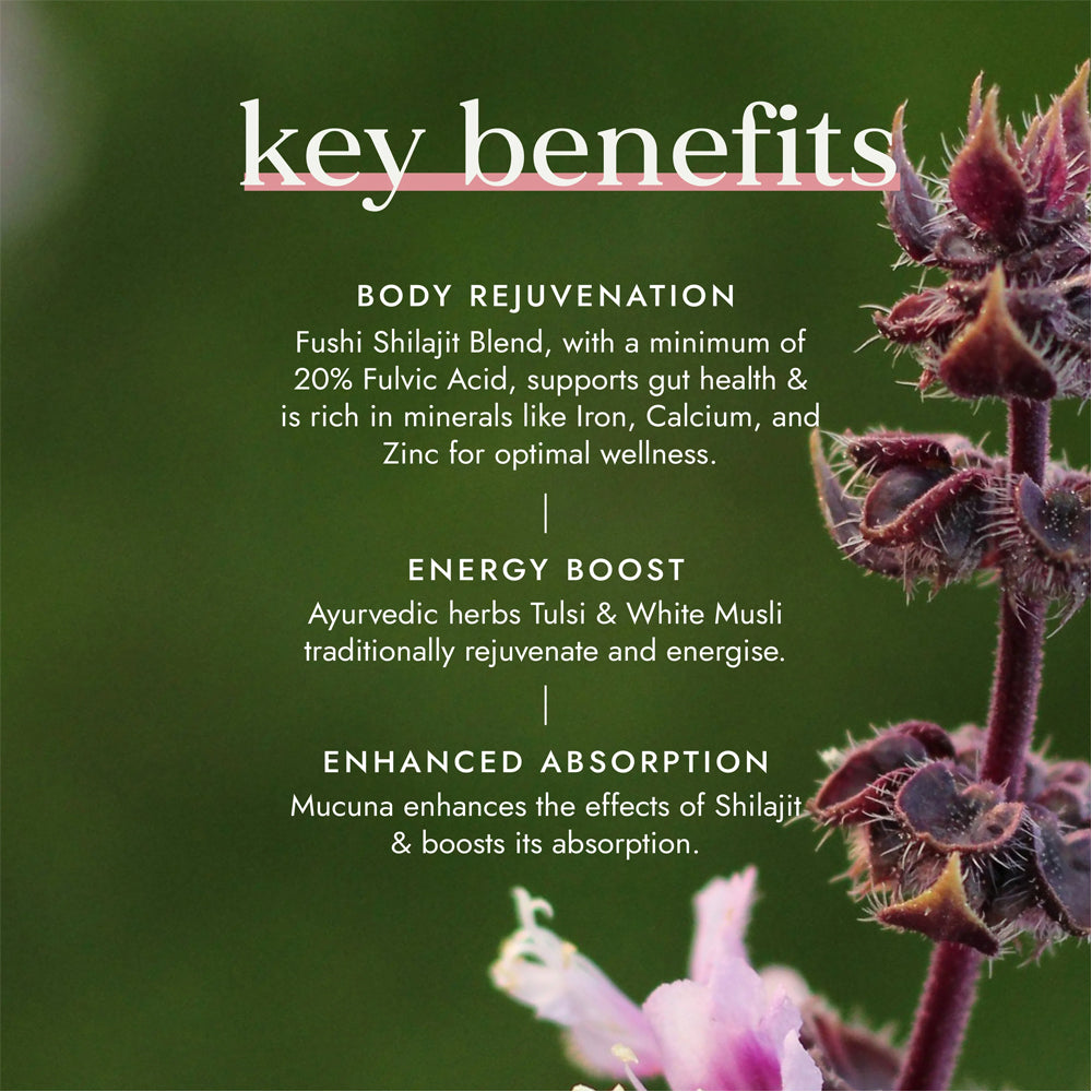 Fushi Shilajit Blend - Evergreen Healthfoods