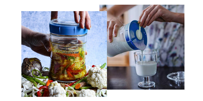 Kefirko Organic Milk Kefir Grains and vegetable fermenter