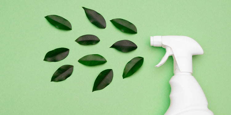 white bottle spraying green leaves on a light green background