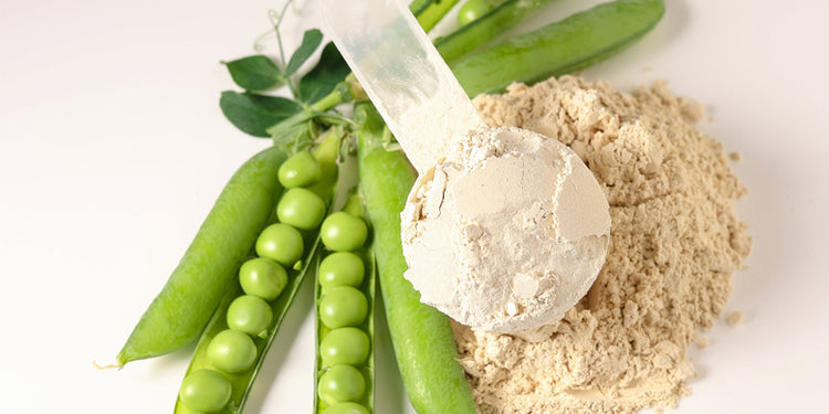 Protein powder scoop with pea pods