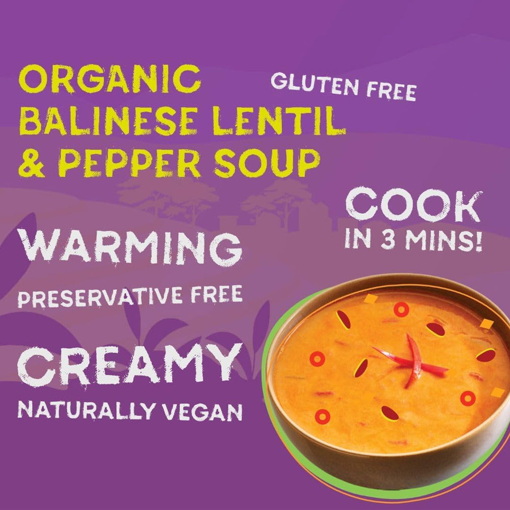 Really Interesting Food Company Organic Balinese Lentil & Pepper Soup