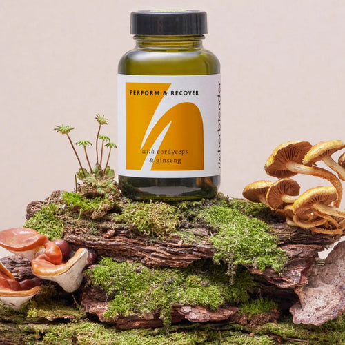 The Herbtender Perform & Recover