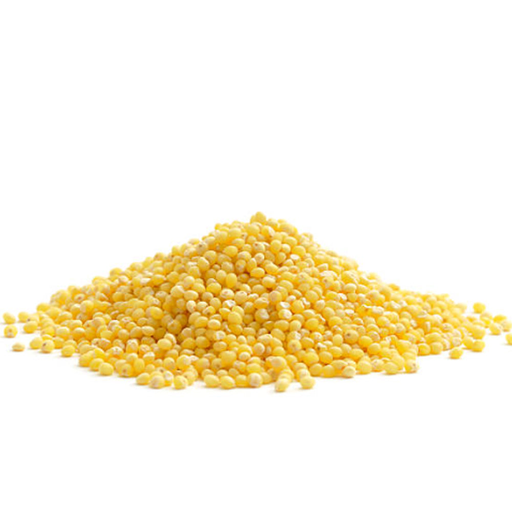 True Natural Goodness Organic Millet Grain