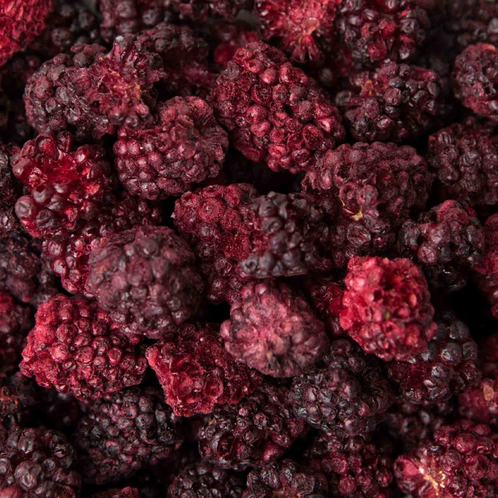 Vera Miklas Freeze Dried Blackberries