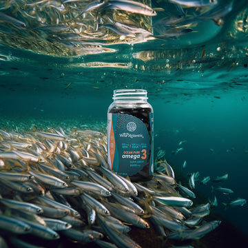 Wild Atlantic Health Ocean Pure Omega 3