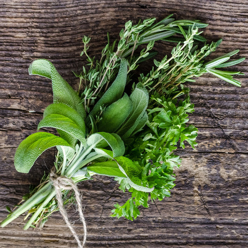 Evergreen Bouquet Garni