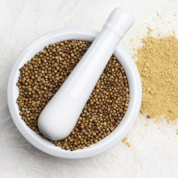 Evergreen Coriander in white bowl