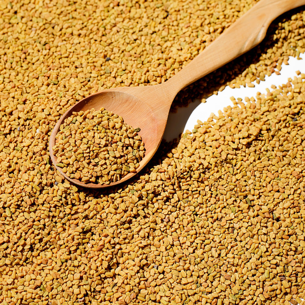 Evergreen Fenugreek with wooden spoon