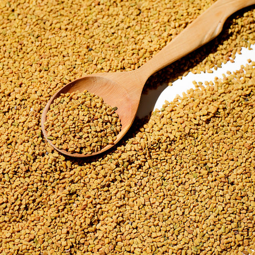 Evergreen Fenugreek with wooden spoon