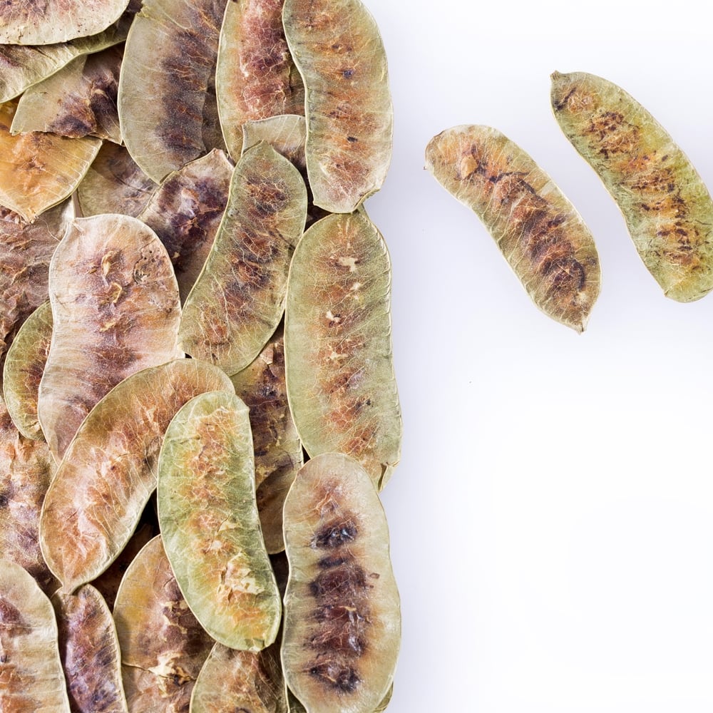 True Natural Goodness Senna Pods