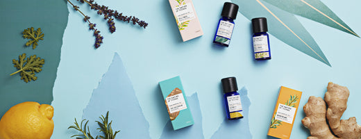 Evergreen: Behind The Label With The Nature of Things
