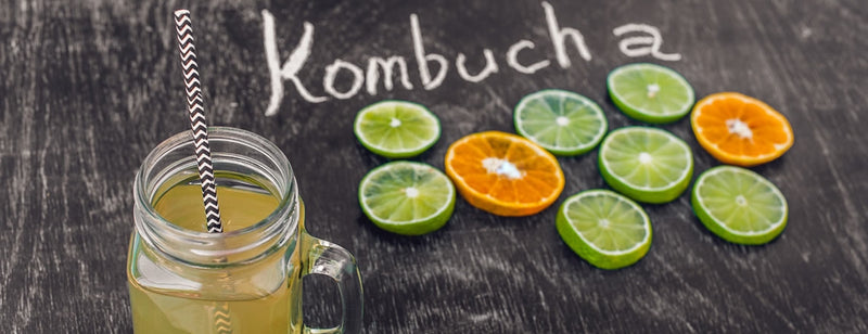 glass of kombucha with citrus fruit slices