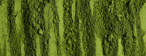Close up of textured green powder