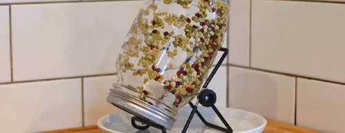 nuzest sprouting jar with seeds