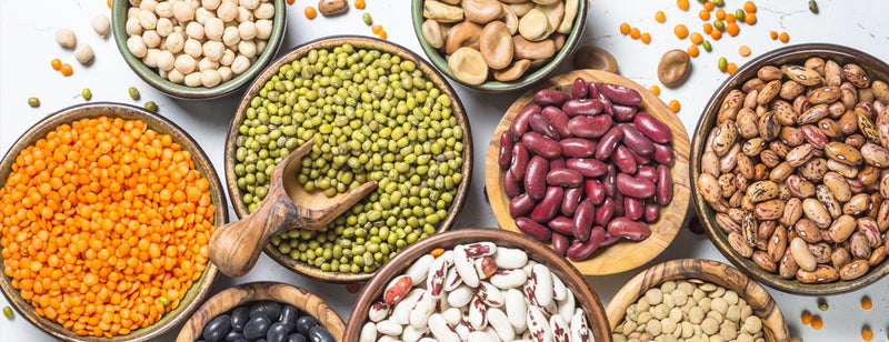 bowls full of the various types of beans and lentils