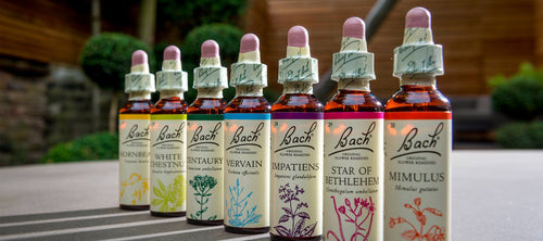 Bach Flower Essences - Which One is Right For Me?
