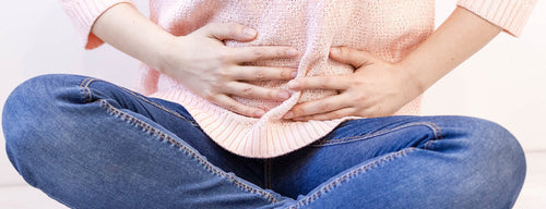 bacteria and our digestion system