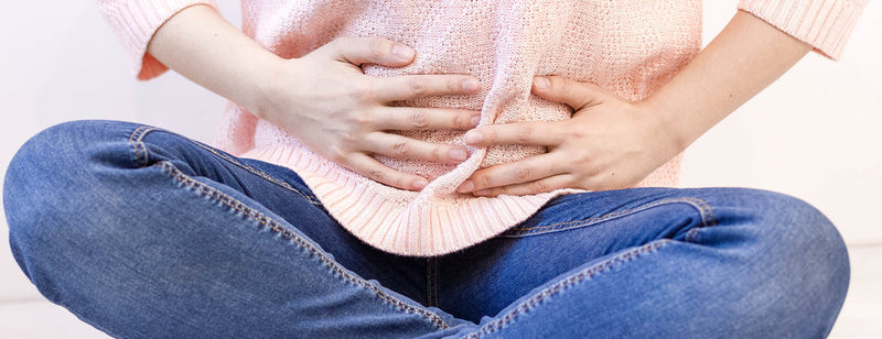 bacteria and our digestion system