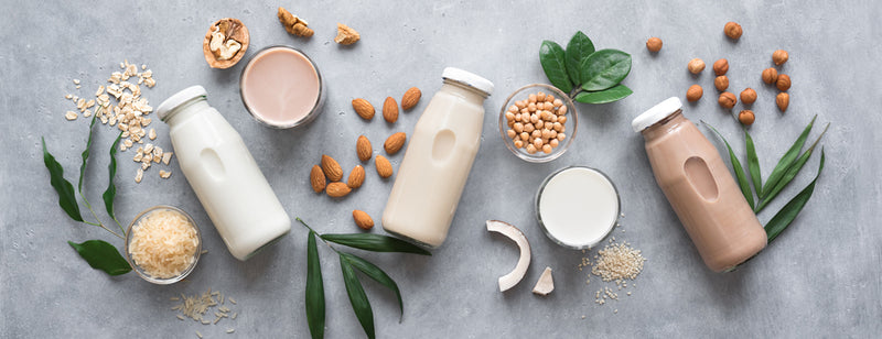 a group of dairy-free alternatives to milk made from nuts