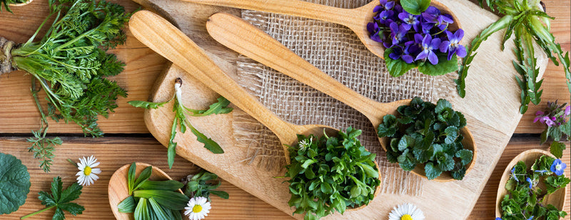 Discover the Natural Power of Herbal Heroes